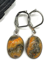 Load image into Gallery viewer, Eclipse Jasper Earrings, Bumblebee Jasper, Sterling Silver, Oval Shape - GemzAustralia 