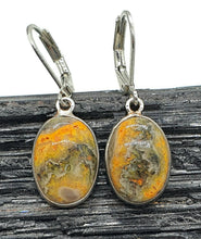 Load image into Gallery viewer, Eclipse Jasper Earrings, Bumblebee Jasper, Sterling Silver, Oval Shape - GemzAustralia 