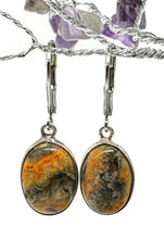 Load image into Gallery viewer, Eclipse Jasper Earrings, Bumblebee Jasper, Sterling Silver, Oval Shape - GemzAustralia 