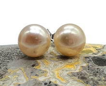 Load image into Gallery viewer, Golden Pearl Studs, Sterling Silver, June Birthstone, Freshwater Pearl Earrings - GemzAustralia 