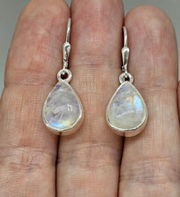 Load image into Gallery viewer, Teardrop Rainbow Moonstone Earrings, Sterling Silver, Blue Sheen Moonstone - GemzAustralia 
