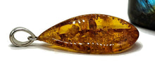 Load image into Gallery viewer, Cognac Amber Pendant, Sterling Silver, Millions of years old, Fossilized Tree Resin - GemzAustralia 
