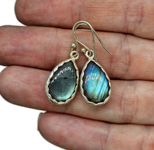 Load image into Gallery viewer, Labradorite Earrings, Sterling Silver, Blue Green Labradorite, Teardrop Shape - GemzAustralia 