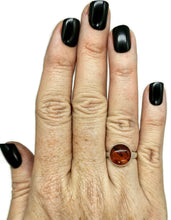 Load image into Gallery viewer, Baltic Amber Ring, size M, Sterling Silver, Round Shaped, Cognac Amber, Fossilized - GemzAustralia 