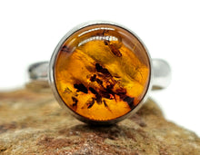 Load image into Gallery viewer, Baltic Amber Ring, size M, Sterling Silver, Round Shaped, Cognac Amber, Fossilized - GemzAustralia 