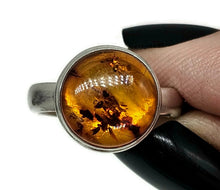 Load image into Gallery viewer, Baltic Amber Ring, size M, Sterling Silver, Round Shaped, Cognac Amber, Fossilized - GemzAustralia 