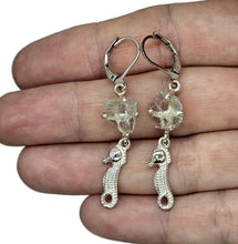 Load image into Gallery viewer, Seahorse Earrings with Rough Aquamarines, March Birthstone, Sterling Silver, Spirit Animal - GemzAustralia 
