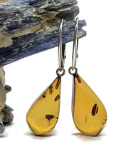 Load image into Gallery viewer, Baltic Amber Earrings, Pear Shaped, 50 million years old, Sterling Silver, Fossilized - GemzAustralia 