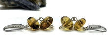 Load image into Gallery viewer, Oval Amber Sphere Earrings, Mexican Chiapas Amber, Sterling Silver, 30 million years old - GemzAustralia 