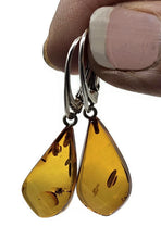 Load image into Gallery viewer, Baltic Amber Earrings, Pear Shaped, 50 million years old, Sterling Silver, Fossilized - GemzAustralia 