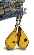 Load image into Gallery viewer, Baltic Amber Earrings, Pear Shaped, 50 million years old, Sterling Silver, Fossilized - GemzAustralia 
