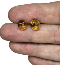 Load image into Gallery viewer, Amber button studs, Mexican Chiapas Amber, Sterling Silver, 30 million years old, Fossilized - GemzAustralia 