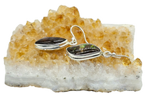 Load image into Gallery viewer, Multi Coloured Ammolite Earrings, Sterling Silver, Fossilized Shells of Ammonites, Opal like Gem, Energy Gemstone, Growth Gemstone, Natural - GemzAustralia 