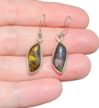 Load image into Gallery viewer, Multi Coloured Ammolite Earrings, Sterling Silver, Fossilized Shells of Ammonites, Opal like Gem, Energy Gemstone, Growth Gemstone, Natural - GemzAustralia 