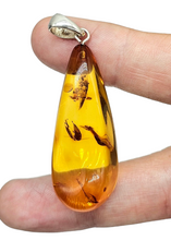 Load image into Gallery viewer, Cognac Amber Pendant, Sterling Silver, Millions of years old, Fossilized Tree Resin, Balance Gem, Wisdom Gem, Genuine - GemzAustralia 