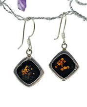 Load image into Gallery viewer, Baltic Amber Earrings, Diamond Shape, millions of years old, Sterling Silver, Fossilized Tree Resin, Cognac Amber - GemzAustralia 