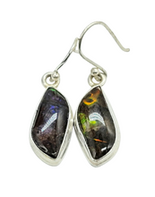 Load image into Gallery viewer, Multi Coloured Ammolite Earrings, Sterling Silver, Fossilized Shells of Ammonites, Opal like Gem, Energy Gemstone, Growth Gemstone, Natural - GemzAustralia 