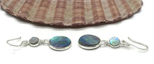 Load image into Gallery viewer, Paua Shell Earrings, Sterling Silver, Abalone Shell, Dangly Round Drops, Prosperity - GemzAustralia 