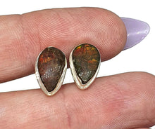 Load image into Gallery viewer, Ammolite Stud Earrings, Sterling Silver, Pear Shaped, Fossilized Shells of Ammonites - GemzAustralia 